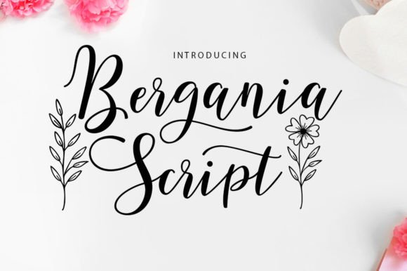Embrace the Irregular Charm of Bergania Script