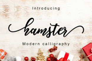 Hamster Script: Crafting Designs with a Smooth, Personal Touch